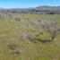  Terreno (Parcela) en venta en Chile, San Javier, Linares, Maule, Chile