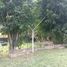  Terrain for sale in Zapopan, Jalisco, Zapopan