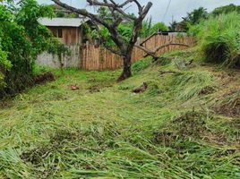  Grundstück zu verkaufen in Pedernales, Manabi, Pedernales, Pedernales