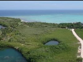  Grundstück zu verkaufen in Cancun, Quintana Roo, Cancun
