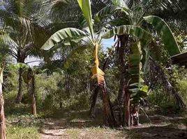  Terrain for sale in Aborlan, Palawan, Aborlan