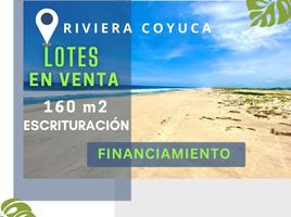  Terreno (Parcela) en venta en Coyuca De Benitez, Guerrero, Coyuca De Benitez, Guerrero