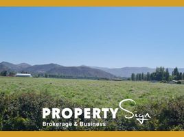  Terreno (Parcela) en venta en Cachapoal, Libertador General Bernardo O'Higgins, Quinta de Tilcoco, Cachapoal