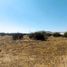  Land for sale in Chile, Santiago, Santiago, Santiago, Chile