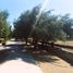  Land for sale in Chile, Santiago, Santiago, Santiago, Chile
