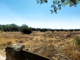  Land for sale in Chile, Santiago, Santiago, Santiago, Chile