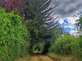  Terreno (Parcela) en venta en Chile, Mariquina, Valdivia, Los Ríos, Chile