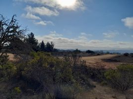  Terreno (Parcela) en venta en Chile, Paredones, Cardenal Caro, Libertador General Bernardo O'Higgins, Chile