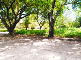 Terrain à vendre à Antipolo City, Calabarzon, Antipolo City, Rizal