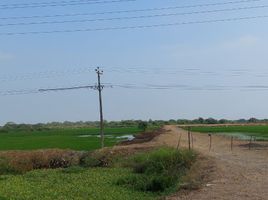  Terreno (Parcela) en venta en Durán, Guayas, Eloy Alfaro (Duran), Durán