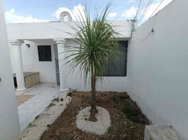2 Schlafzimmer Villa zu verkaufen in Merida, Yucatan, Merida
