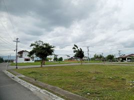  Land for sale in Cordova, Cebu, Cordova