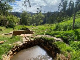  Terreno (Parcela) en venta en Ancash, Tinco, Carhuaz, Ancash