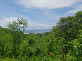 Terrain à vendre à Calatagan, Calabarzon, Calatagan
