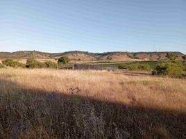  Terreno (Parcela) en venta en Chile, Litueche, Cardenal Caro, Libertador General Bernardo O'Higgins, Chile