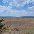 Land for sale in Ajacuba, Hidalgo, Ajacuba