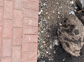  Terreno (Parcela) en venta en Corregidora, Querétaro, Corregidora