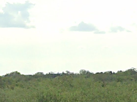 在Gonzalez, Tamaulipas出售的 土地, Gonzalez