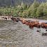  Terreno (Parcela) en venta en Chile, Coihaique, Coihaique, Aisén del General Carlos Ibáñez del Campo, Chile