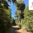 Terreno (Parcela) en venta en Araucanía, Pucón, Cautín, Araucanía