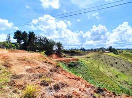  Terreno (Parcela) en venta en Marinilla, Antioquia, Marinilla