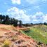  Land for sale in Marinilla, Antioquia, Marinilla