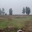  Terreno (Parcela) en venta en Chile, Pelarco, Talca, Maule, Chile