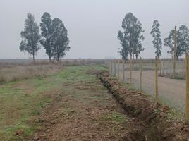  Terreno (Parcela) en venta en Chile, Pelarco, Talca, Maule, Chile