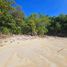  Land for sale in Bounty Beach, Daanbantayan, Daanbantayan