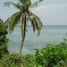  Land for sale in Bounty Beach, Daanbantayan, Daanbantayan