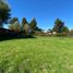  Land for sale in Chile, Villarrica, Cautin, Araucania, Chile