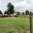  Land for sale in Chile, Villarrica, Cautin, Araucania, Chile
