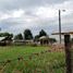  Land for sale in Chile, Villarrica, Cautin, Araucania, Chile