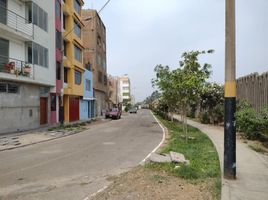  Grundstück zu verkaufen in Ate, Lima, Ate, Lima, Lima