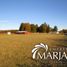 4 chambre Villa for sale in Cautin, Araucania, Villarrica, Cautin