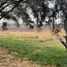 Terreno (Parcela) en venta en Salamanca, Guanajuato, Salamanca