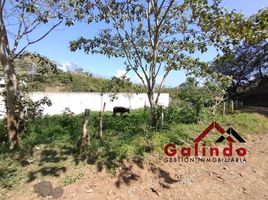  토지을(를) Xalapa, 베라 크루즈에서 판매합니다., Xalapa
