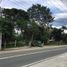  Land for rent in Calamba City, Calabarzon, Calamba City, Laguna