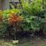  Land for sale in Cebu Central Visayas, Borbon