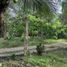  Land for sale in Borbon, Cebu, Borbon