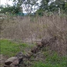  Grundstück zu verkaufen in Cuernavaca, Morelos, Cuernavaca, Morelos