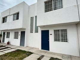2 Schlafzimmer Wohnung zu verkaufen in Queretaro, Queretaro, Queretaro, Queretaro