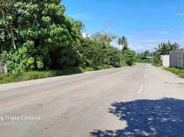  Land for sale in Davao del Sur, Davao, Davao City, Davao del Sur