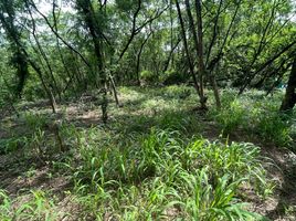  Land for sale in Rizal, Calabarzon, Antipolo City, Rizal