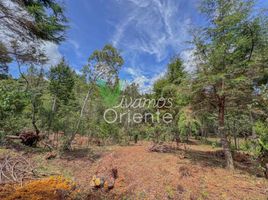  Terrain for sale in Guarne, Antioquia, Guarne