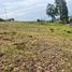  Land for sale in Valle, Cuenca, Valle