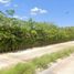  Land for sale in Merida, Yucatan, Merida, Yucatan