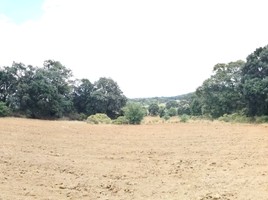  Grundstück zu verkaufen in Jilotepec, Mexico, Jilotepec