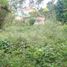  Land for sale in Cavite, Calabarzon, Alfonso, Cavite