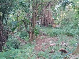  Land for sale in Cavite, Calabarzon, Alfonso, Cavite